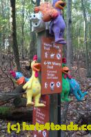 /home//u458753944/public_html/sourcegallery//Chickens/Valley Forge/IMAG0084.jpg